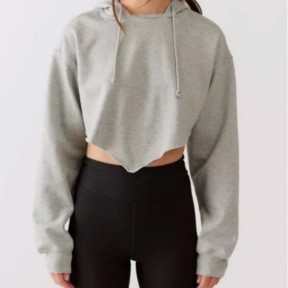 NWT Urban Outfitters BDG Tide Cropped Fleece Lined Hoodie in Grey